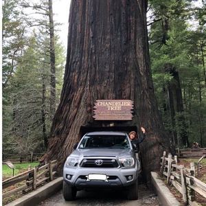 Meet your Posher, Elena